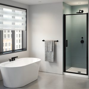 Elera Single pivot door, 5/16" (8 mm) glass, 79" H Matte Black Shower Door